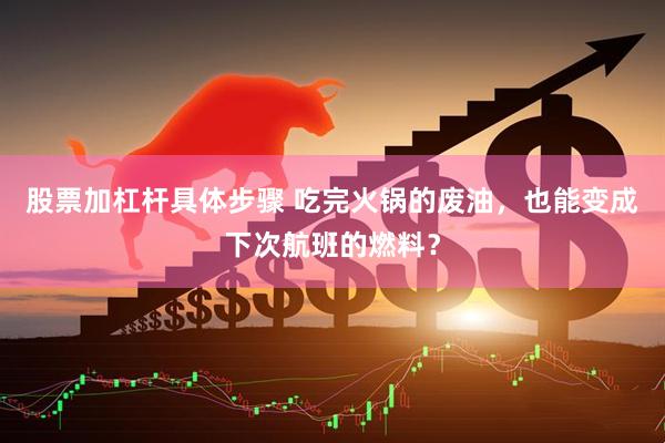 股票加杠杆具体步骤 吃完火锅的废油，也能变成下次航班的燃料？